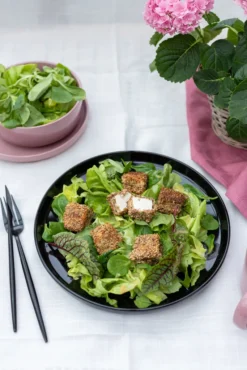 Kombiservice, Steinzeug Kombiservice, Steinzeug ALENIA Mäser 9 Kombiservice, Steinzeug Kombiservice, Steinzeug ALENIA Mäser -kaufland verkäufe 157ccff3a12489c317253a41a6b0d292 1