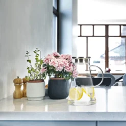 Relaxdays Glaskaraffe Mit Deckel 1,8 Liter 4 Relaxdays Glaskaraffe Mit Deckel 1,8 Liter -kaufland verkäufe 2acdd9cbaaa7ab73c65ec93668f244bd