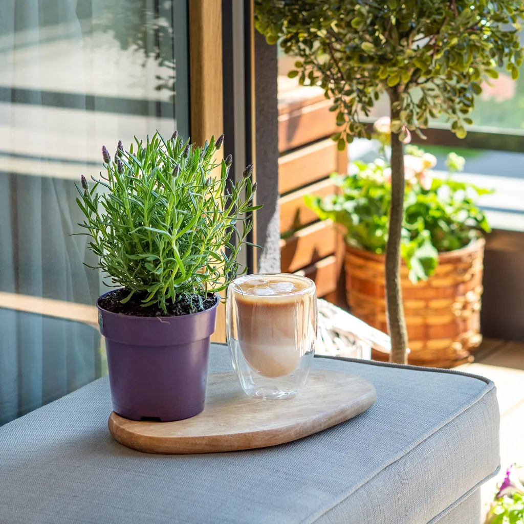 Wessper Latte Macchiato Thermogläser mit doppeltem Boden Set 6 x 350 ml Wessper Latte Macchiato Thermogläser Mit Doppeltem Boden Set 6 X 350 Ml -kaufland verkäufe 30c7bf5a6d8a52343e55f7bafd387c58