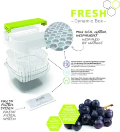 ROTHO Dynamic Box 6,4 L FRESH, Farbe:Limettengrün -kaufland verkäufe 40b78776df0dc84eee61b361f2a24cb6