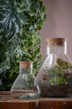 Mica Decorations Emily Vorratsglas - H32 X Ø29,5 Cm - Transparent -kaufland verkäufe 476a990c836c606bb01f111fef69199a