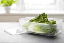 Plast Team Gefrierdose Helsinki 1,5 Liter Rechteckig 6 Plast Team Gefrierdose Helsinki 1,5 Liter Rechteckig -kaufland verkäufe 5e8d3c5984e3f93a5a1a2bde7d1ade71