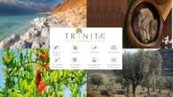 Villeroy & Boch 2 X Latte Macchiato Glas Ohne Henkel NewWave Vorteilsset 2 X Art. Nr. 1137373422 Und Gratis 1 Trinitae Körperpflegeprodukt -kaufland verkäufe 67077e59e1a1032d5c820cf4eae4ab17