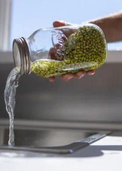 Keimglas (1000 Ml) | Sprossengläser Von Pearl Jars -kaufland verkäufe 67c96ce9774ac10126cca0ec7488486a