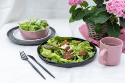 Kombiservice, Steinzeug Kombiservice, Steinzeug ALENIA Mäser 8 Kombiservice, Steinzeug Kombiservice, Steinzeug ALENIA Mäser -kaufland verkäufe 6d5791ab579c9d6c44a9c614aa6dbbd2 1