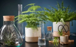 Mica Decorations Emily Vorratsglas - H32 X Ø29,5 Cm - Transparent -kaufland verkäufe 7310639840b5eda17b8ac46a404e2fb7