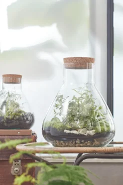 Mica Decorations Emily Vorratsglas - H32 X Ø29,5 Cm - Transparent -kaufland verkäufe a9f7625d673e1ef6ea2b9778e30f072c