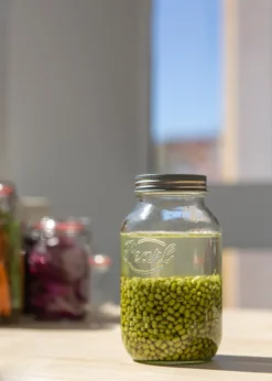 Keimglas (1000 Ml) | Sprossengläser Von Pearl Jars -kaufland verkäufe bb6550172f7b5f8b717eb4e6586cc127