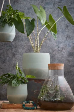 Mica Decorations Emily Vorratsglas - H32 X Ø29,5 Cm - Transparent -kaufland verkäufe c77d52452abee1b3b34a268c31c0f2c3