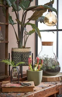 Mica Decorations Emily Vorratsglas - H32 X Ø29,5 Cm - Transparent -kaufland verkäufe eb27dff841aa8ba12737380badcb50be