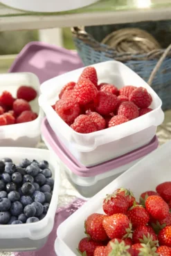 GastroMax Gefrierdose 0,3 Liter 6er Set 7 GastroMax Gefrierdose 0,3 Liter 6er Set -kaufland verkäufe f4f0fcb226dd19ca6295a5336400c1bd